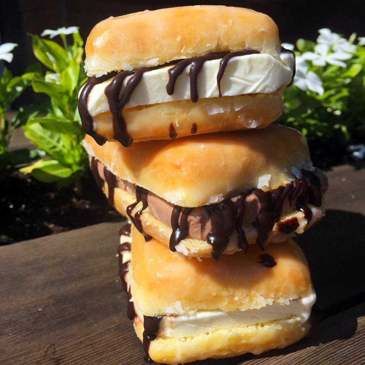 Donut Ice Cream Sandwiches Firecakes Donuts 0288